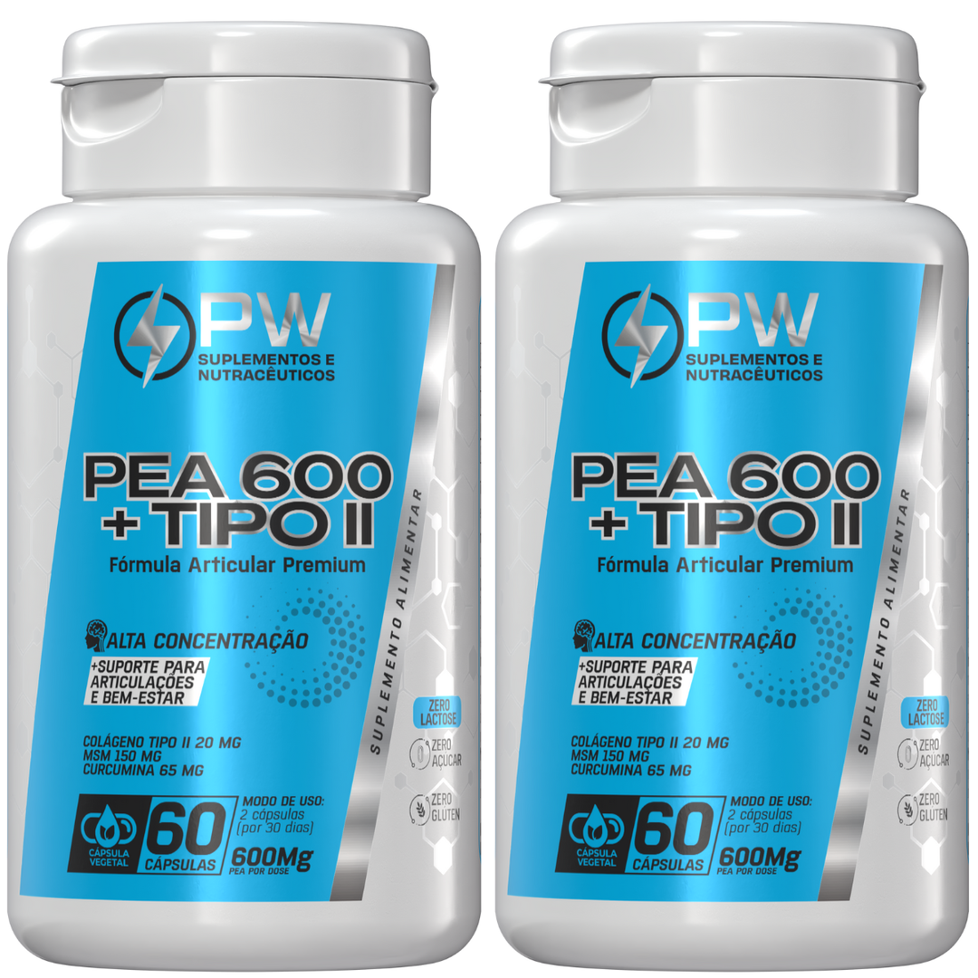 PEA600 + Colágeno Tipo 2 Blend Articular